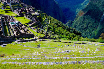 High angle view of agricultural field