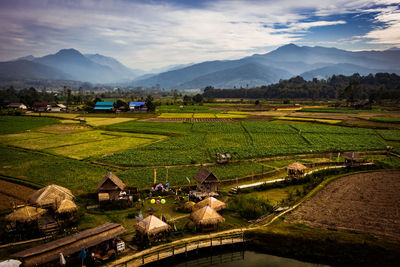 High angle view of agricultural field against sky