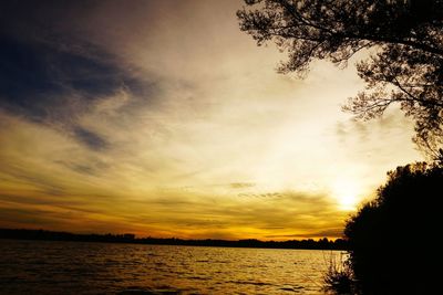 Scenic view of silhouette trees against orange sky