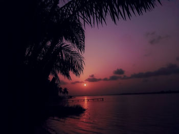 Silhouette palm tree by sea against sky at sunset