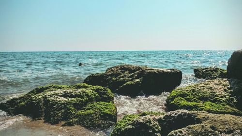 Scenic view of sea against clear sky