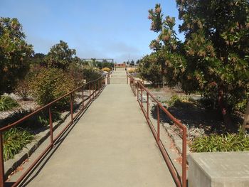 Boardwalk amidst trees against sky