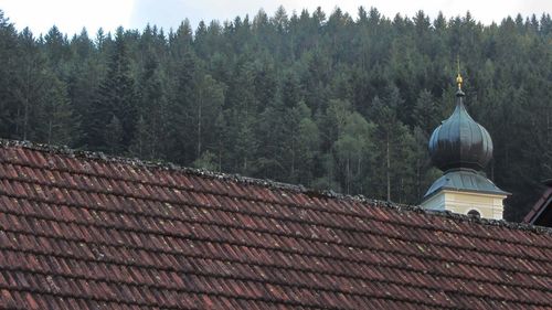 Panoramic view of trees and building against sky