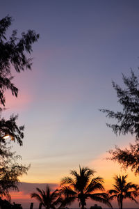 Low angle view of silhouette palm trees against romantic sky