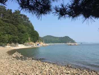 Scenic view of sea against clear sky