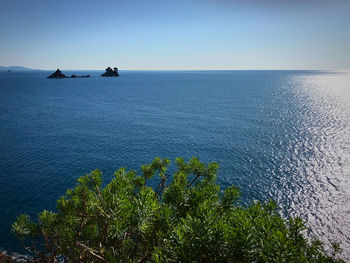 Scenic view of sea against clear sky