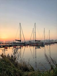 Sailboats in marina at sunset