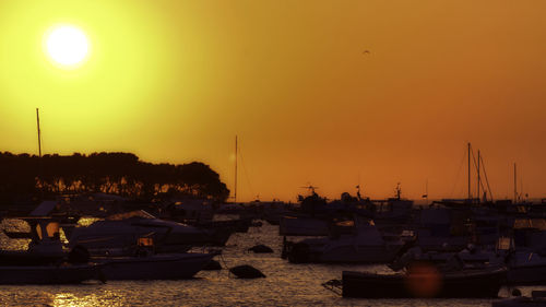 Boats moored at harbor during sunset