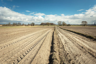 Traces of tractor wheels on a plowed field, dirt road, horizon and white clouds on a blue sky
