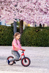 Portrait of boy riding push scooter on road