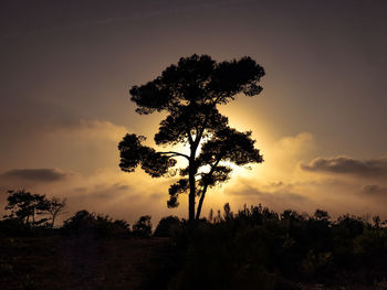 Silhouette tree on field against sky during sunset