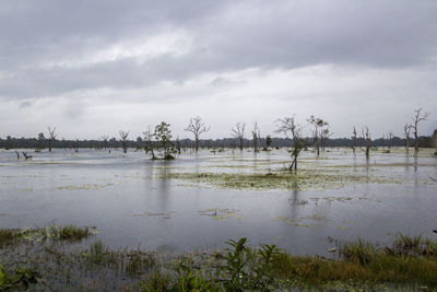 Scenic view of lake against sky