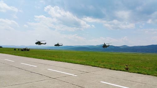 Military helicopters flying over grassy landscape