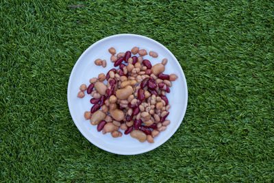 Directly above view of fresh food in plate on grass