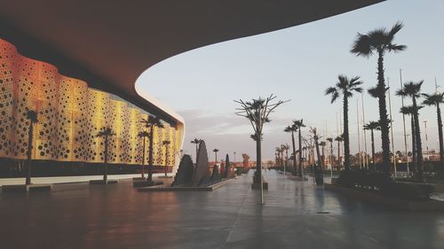 People by palm trees against sky