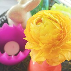 Close-up of yellow rose