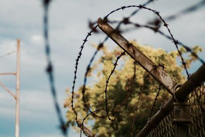 Close-up of barbed wire