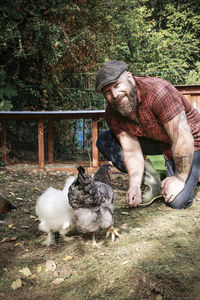 Man in his own garden, man feeding free range chickens