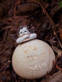 Close-up of stuffed toy on rock