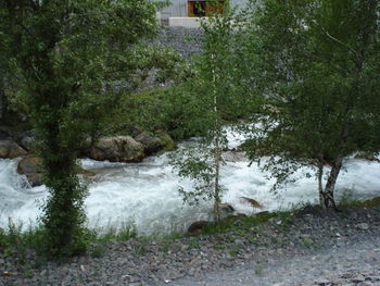 Scenic view of waterfall