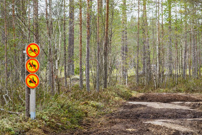 Road sign amidst trees in forest