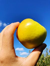 Close-up of hand holding apple against blue sky