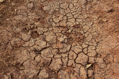 Full frame shot of cracked land