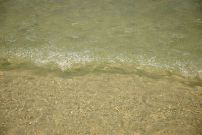 High angle view of beach