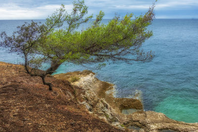 Scenic view of sea against sky