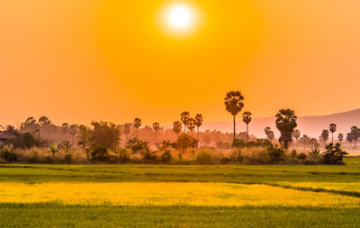 Scenic view of field against sky during sunset