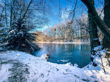 Scenic view of frozen lake seen through trees during winter