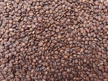 Roasted arabica coffee beans using traditional method
