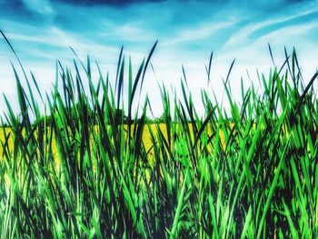 Scenic view of field against cloudy sky