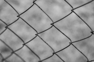 Close-up of chainlink fence