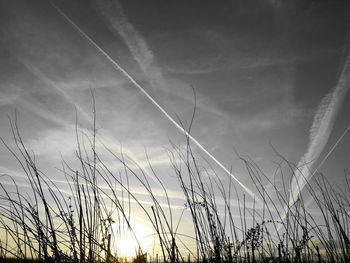 Vapor trail against sky