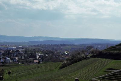 Scenic view of agricultural field against sky