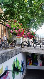 Multi colored flower pot on railing in city