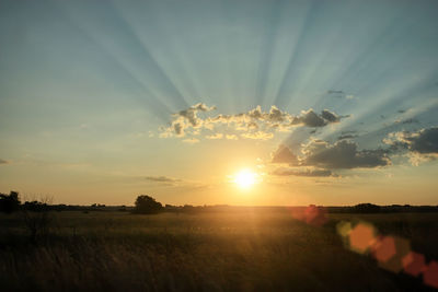 Scenic view of field against sky during sunset