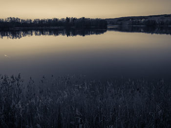 Reflection of trees in calm lake