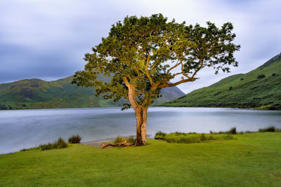Scenic view of lake against sky