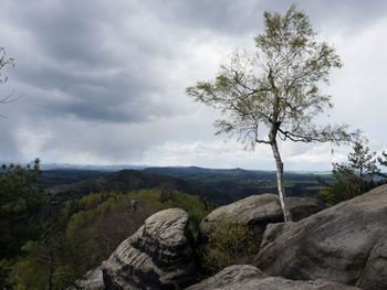 Scenic view of tree mountains against sky