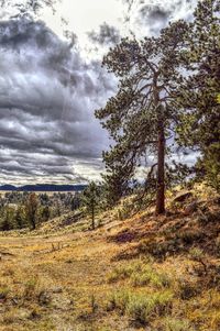 Scenic view of field against cloudy sky