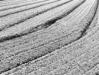 Full frame shot of agricultural field