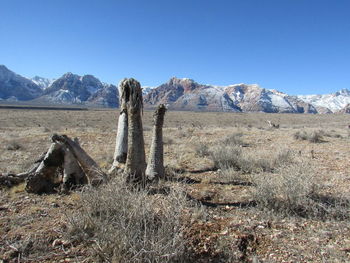 Scenic view of mountains against clear sky