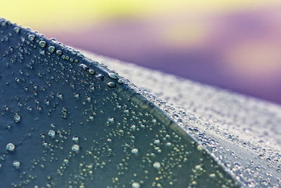 Close-up of raindrops on glass