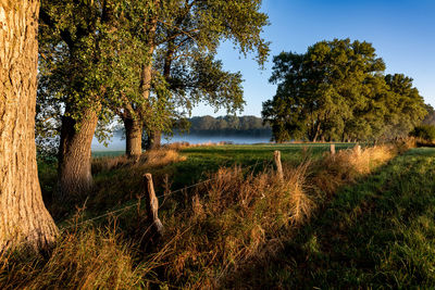 Scenic view of lake in forest against sky