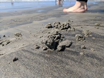 Low section of man on beach