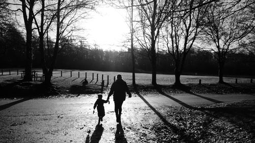 Rear view of dog walking in park