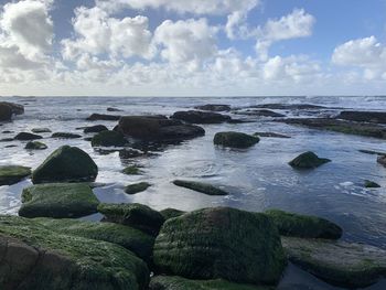 Rocks on sea shore against sky