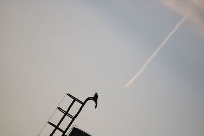 Low angle view of bird perching on pole against sky